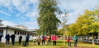 Una Quercia alle scuole Collodi per ricordare Venturino Cagnato