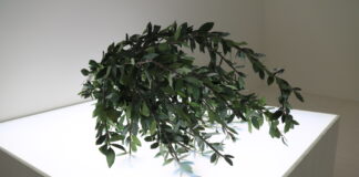 Edizione da record per il Padiglione Venezia Padiglione Venezia, la Mostra Alloro