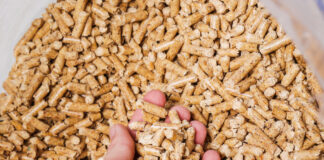 Azienda veneta attaccata dagli hater Pellet