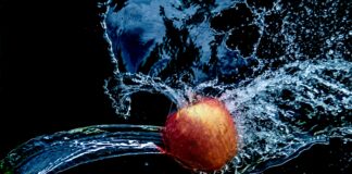 Confagricoltura Veneto: frutta, 2022 annata no