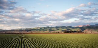 Consorzi di bonifica: gli aumenti non pesino solo sugli agricoltori