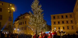 Grande festa in Piazza dei Signori per l’accensione dell’Albero di Natale