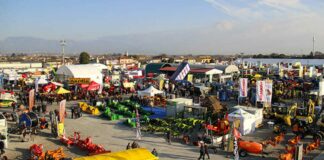 Dal 10 al 12 dicembre si rinnova la Fiera di S. Lucia: ecco il programma completo