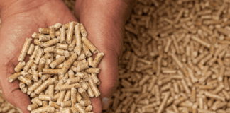 Pellet di canapa: il riscaldamento alternativo