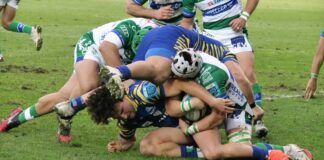 Il XV dei Leoni per il ritorno con le Zebre Derby al Benetton, 38-5 alle Zebre