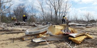 Laguna del Mort, Jesolo con Legambiente Laguna del Mort