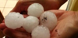 Calamita 2021, 700mila € dalla Regione per danni non coperti dallo Stato Grandine e danni da maltempo - foto di repertorio