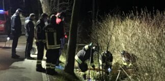 Accoltellò Marta a Mogliano, Cassazione annulla la condanna del minore