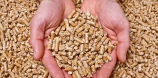 Pellet, l’IVA torna al 10%. “Risultato storico per la filiera legno-energia”
