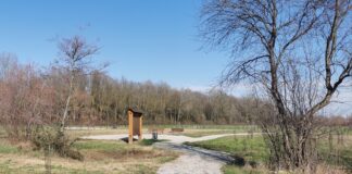 Mirano, collaudato l’ampliamento del Bosco del Parauro Bosco del Parauro collaudato
