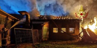 FOTONOTIZIA – Campolongo Maggiore, a fuoco un capannone agricolo Campolongo Maggiore, il capannone agricolo andato a fuoco