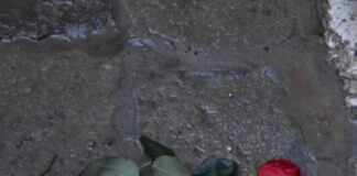 A Venezia deposte 24 nuove Pietre d’Inciampo Le Pietre d'Inciampo con le rose rosse