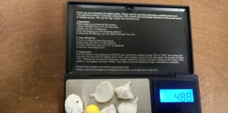 Jesolo, sequestrato mezzo etto di hashish e 9 dosi di cocaina, una denuncia La droga sequestrata dalla Polizia Locale di Jesolo