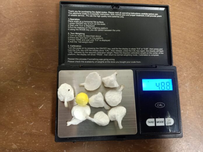 La droga sequestrata dalla Polizia Locale di Jesolo La droga sequestrata dalla Polizia Locale di Jesolo