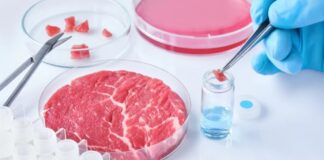 Moratoria europea sui cibi artificiali, Coldiretti plaude al Ministro Lollobrigida