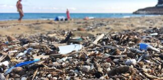 Inquinamento del mare, Marcato mette i rifiuti plastici nel mirino