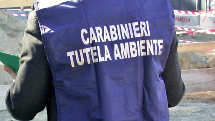 noe-carabinieri-2