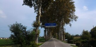 Nuovi portali per controllare le targhe delle autovetture Uno dei portali su una strada della Città Metropolitana di Venezia