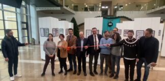 50 Anni di Trevisani nel Mondo: arriva il fumetto che racconta l’emigrazione