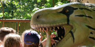 Carnevale al Parco degli Alberi Parlanti