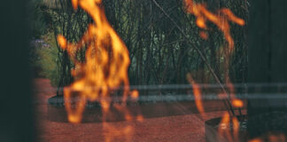 “Dalla parte del fuoco”: tornano le giornate di studio sul paesaggio