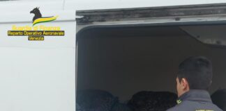 Chioggia, sequestrate 2,3 tonnellate di vongole Le vongole sequestrate dalla Guardia di Finanza