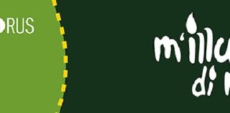 Ca’ Foscari aderisce per il 14° anno a “M’Illumino di Meno” M'Illumino di Meno