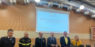 Incidenti Stradali nella Marca: 66 Decessi e 2.574 Feriti nel 2022