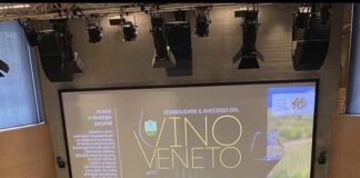 Vino, crescita della produzione veneta al +7,3%