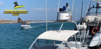 Controlli in laguna: sequestrate 5 tonnellate di vongole Le vongole sequestrate dalla Guardia di Finanza