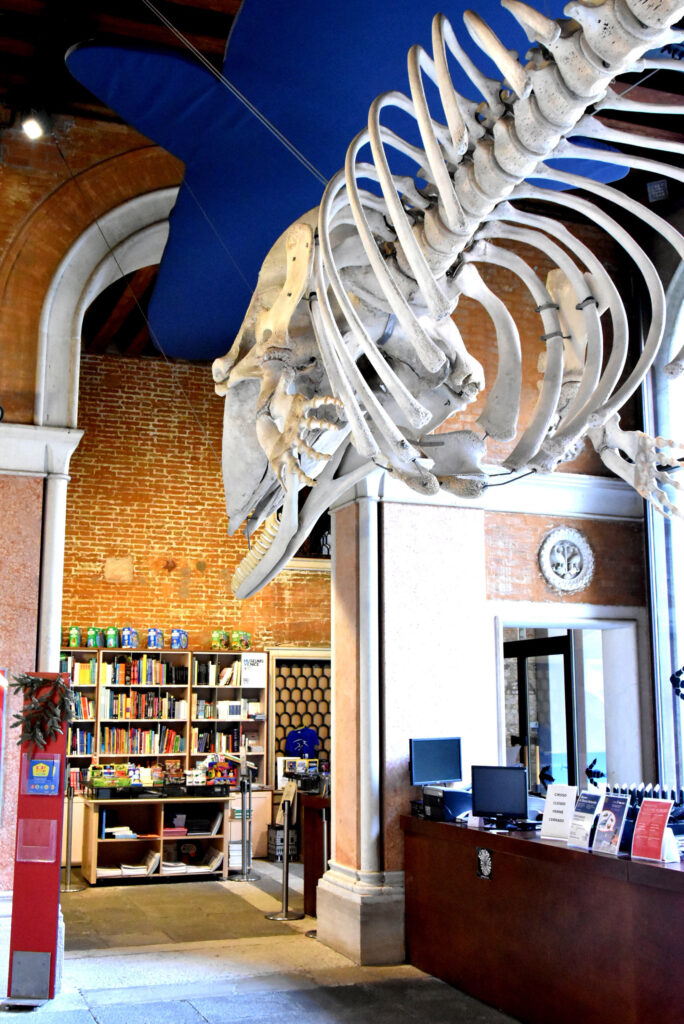 Museo di Storia Naturale di Venezia