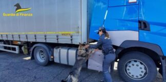 280mila euro nascosti nel camion: beccato dalla Finanza