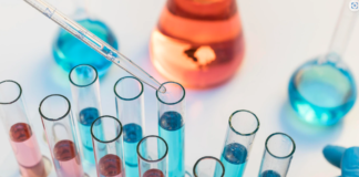 Green pass falsi, scoperti con Dna