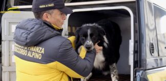 Cane in un dirupo, salvato dal soccorso alpino Cane nel dirupo
