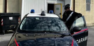 Padova: Offende i Carabinieri al controllo, denunciato