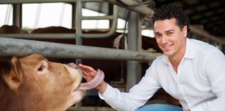 Allevamenti bovini, non passa la direttiva Ue sulle emissioni industriali