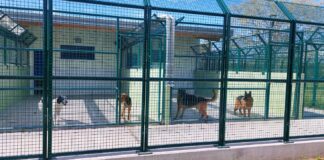 Inaugurato il nuovo canile comunale “Silvana Tosi” Il nuovo canile comunale "Silvana Tosi"
