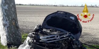 FOTONOTIZIA: Auto finisce contro un platano: ferita la conducente Portogruaro, l'automobile finita contro un platano