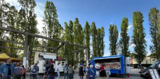 Parco Bissuola, il ricco programma di primavera Parco Bissuola, lo Spring Festival