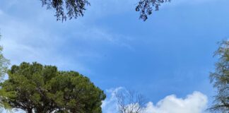 Mogliano, ampliato il parco ex Villa Longobardi