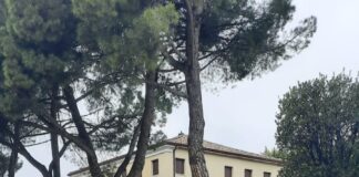 Possagno, individuato il Vandalo della Gypsoteca.