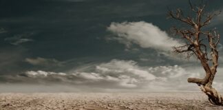 Istat: morti per i cambiamenti climatici in aumento