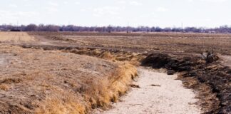 Piogge dimezzate rispetto al periodo 1994 – 2022