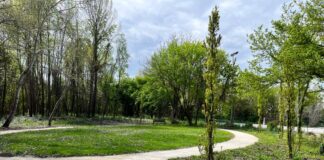 Inaugurato il bosco periurbano di Via Selvatico