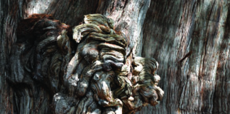 Nuova mostra sul Messico in Fondazione Benetton