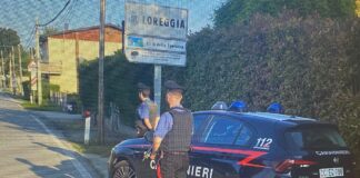 Arrestato per di 10 furti in abitazione.
