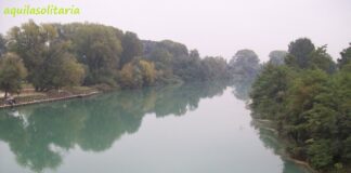San Donà: Ora mettere il Piave in sicurezza Vaia Crocetta 2010