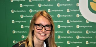 Meloni, troppa produzione e prezzi bassi