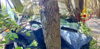 FOTONOTIZIA – Bibione, finisce fuoristrada e va contro un albero Bibione, il furgone finito contro l'albero