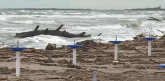Spiagge piene di rifiuti a Rosolina per maltempo